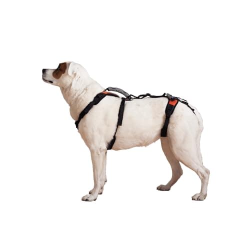 Blue Dog Designs Help 'Em Up Harness