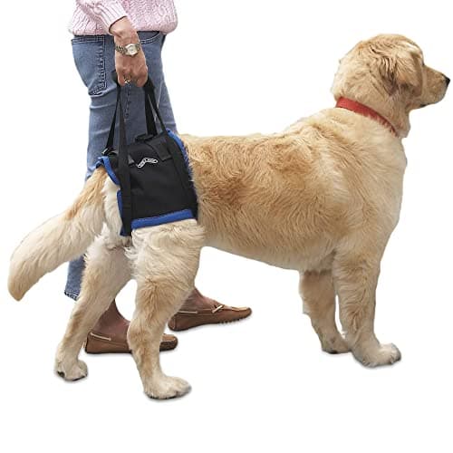 Walkin' Pets Walkin' Lift Combo Rear-End Harness