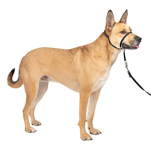 PetSafe PetSafe Gentle Leader Head Collar