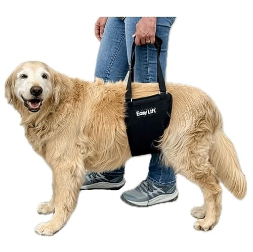 GingerLead GingerLead Dog Support and Rehabilitation Harness